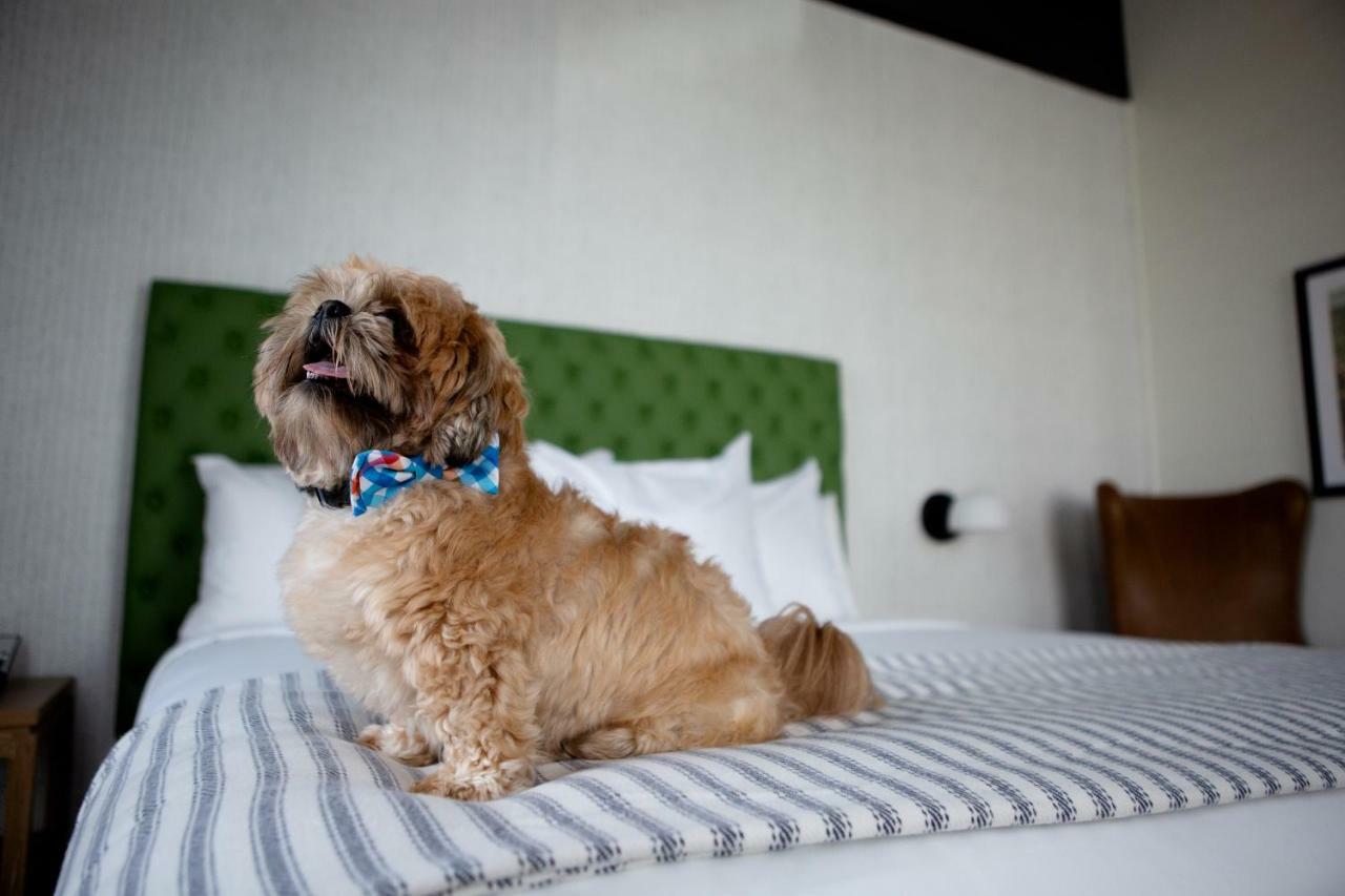 Origin Lexington, A Wyndham Hotel Extérieur photo